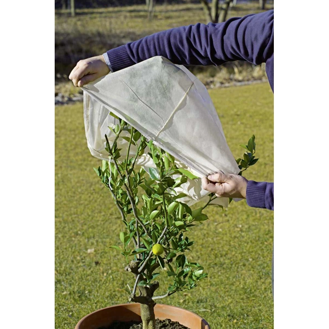 Vendita online  Protex Cappuccio protettivo per piante 2x2,4m 2pz